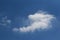 Fluffy white cloud against a clear blue sky