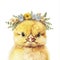 The fluffy yellow chick with flower crown on head with white background. AIG43.