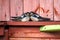 Fluffy young nestlings barn swallows Hirundo rustica