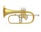 Flugelhorn Isolated