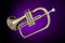 Flugelhorn Trumpet Isolated On Purple