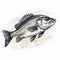 Fluid Brushwork: Detailed Bass Shad Illustration In Pencil Style