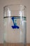 Fluid dynamics experiment where a drop of blue dye is put in water