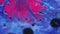 Fluid mix background sparkling ink blue pink black