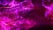 Fluid pink and purple particles flowing beautiful abstract background, Liquid and light with depth of field