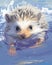 fluidity and unpredictability of watercolors by creating a dynamic and energetic Hedgehog print. design cute Hedgehog poster