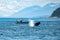 Fluke of an Humpback in front of a little whale watching boat in the great landscape of the Glacier Bay in Alaska