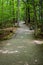 Flume Gorge in Lincoln New Hampshire White mountains