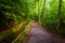 Flume and trail at Mingus Mill, Great Smoky Mountains National P