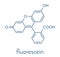 Fluorescein fluorescent molecule. Skeletal formula.