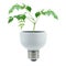 Fluorescent bulb and greens