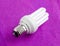 Fluorescent lamp