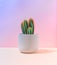 Fluorescent neon cactus on pastel pink and blue gradient background. Minimal creative scene. Nature concept