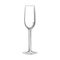 Flute glass. Hand drawn empty champagne glass sketch. Sparkling wine glass