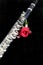 Flute and Red Rose On Black