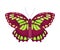 Fluttering Tropical Butterfly with Brightly Coloured Wings Vector Illustration