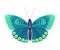 Fluttering Tropical Butterfly with Brightly Coloured Wings Vector Illustration
