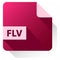 flv format video icon