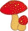 Fly agaric. Amanita. Poison mushroom colorful ink drawing. Isolated hand drawn design element. Vector illustration