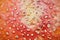 Fly agaric background. Red white mottling toadstool cap surfa