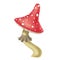 Fly agaric. Dangerous poisonous mushroom. Illustration Raster