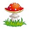 Fly-agaric illustration