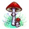 Fly agaric mushroom