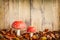 Fly agaric mushrooms against an old wooden background