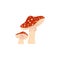 Fly agaric mushrooms. Amanita fungi composition. Poisonous inedible red cap fungus with dots. Forest plant, toadstool
