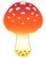 Fly agaric, poisonous mushroom - vector full color picture. Amanita - a poisonous spotted mushroom