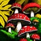 Fly agaric toadstools