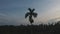 Fly around a beautiful palm tree against sky with setting sun and hills with green palm trees against blue sky