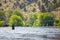 Fly Fisherman Casting on the Deschutes River