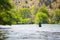 Fly Fisherman Casting on the Deschutes River