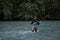 A Fly Fisherman casts his line for a fish on the Squamish River
