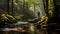 A fly fisherman fishing up a small creek in the great mountain forest