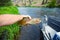 Fly Fisherman Holding Trophy Rainbow Trout