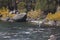 Fly fisherman in Western Wyoming