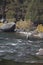 Fly fisherman in Western Wyoming in water