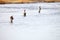 Fly Fishing on the Fire Hole river in Yellowstone.