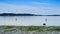 Fly Fishing In The Puget Sound, Tolmie State Park, Olympia, Washington, USA