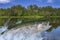 Fly fishing. Rainbow trout fish jumping for catching synthetic insect with splashing in water