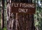 Fly Fishing Only sign on a pine tree