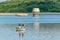 Fly fishing for trout on Bewl Water resevoir