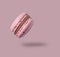 Fly french pink macaroon on a pink background. Concept levitation food