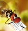 Fly having an eye examination using a magnifying glass