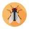 Fly icon flat sign/symbol insect bug . Housefly