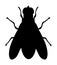 Fly icon silhouette illustration isolated on white background.
