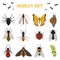 Fly insects wildlife entomology bug animal nature beetle biology buzz icon vector illustration