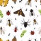 Fly insects wildlife entomology bug animal nature beetle biology buzz icon vector illustration pattern seamless